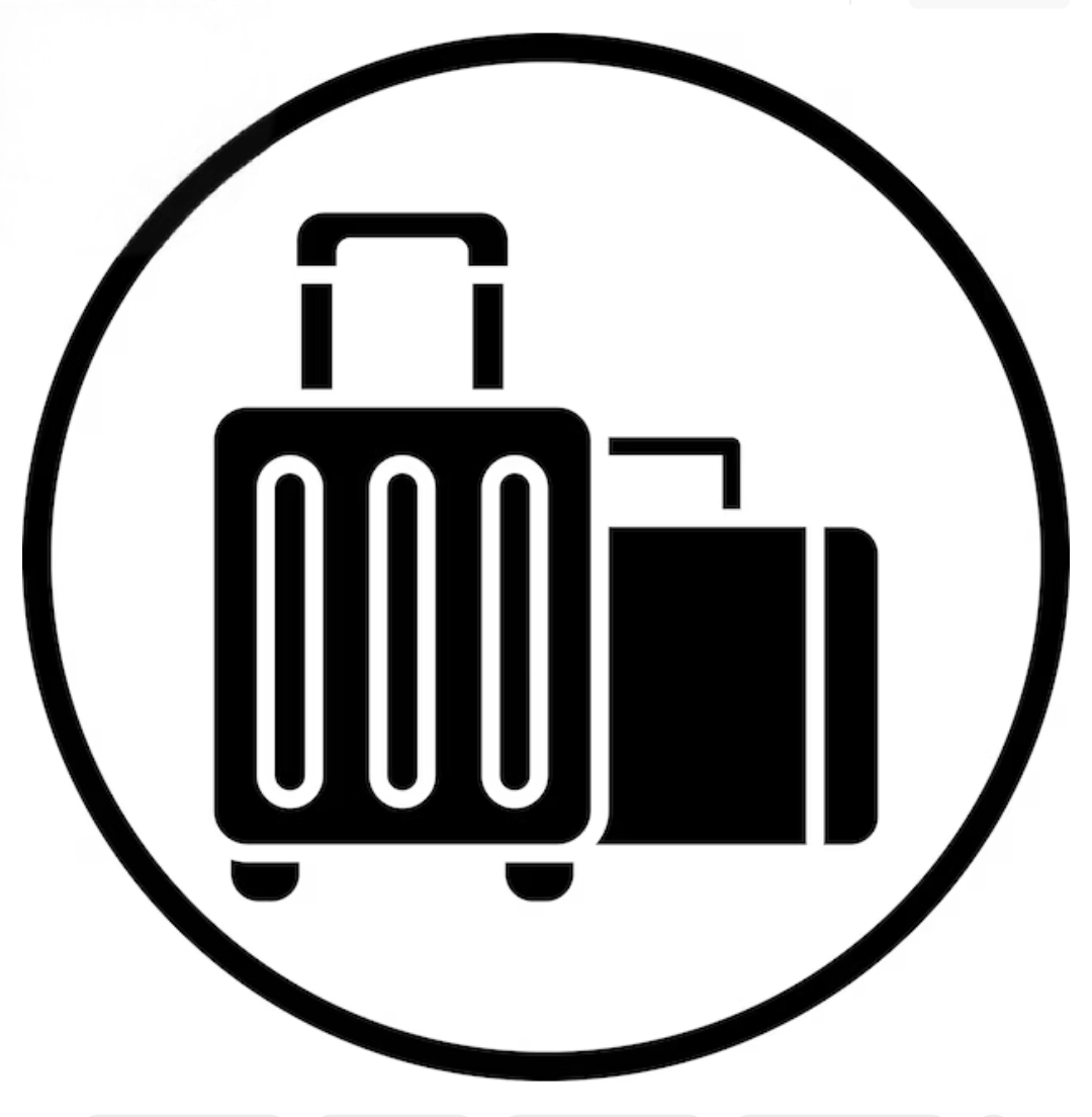 Trolley bag